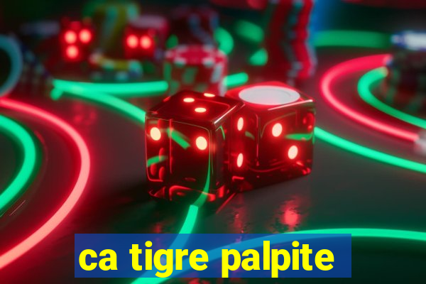 ca tigre palpite